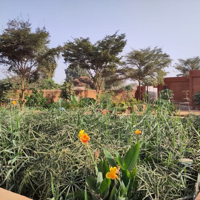 Filtre Planté de Végétaux pour toilettes publiques à Thiaroye, près de Dakar - Solution d'assainissement écologique urbain au Sénégal